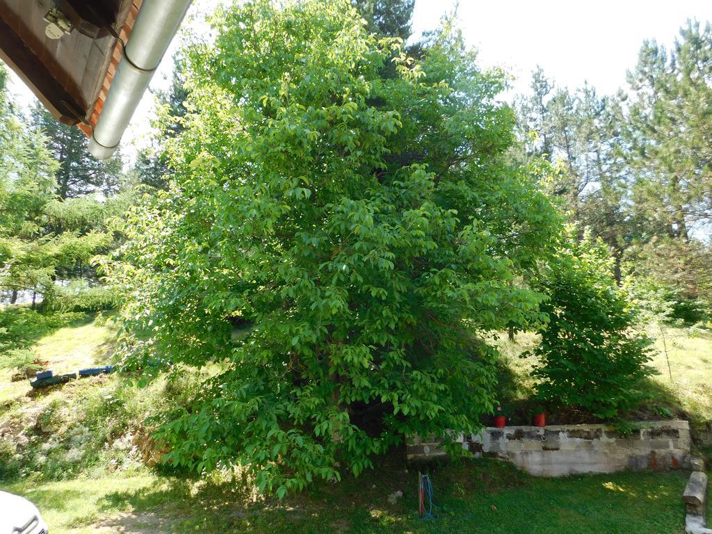 Holiday Home Lana Saborsko Buitenkant foto